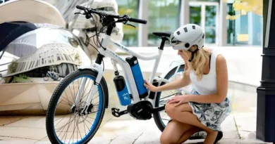 linde ebike