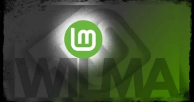 Linux Mint 22 Wilma