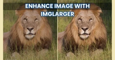 Imglarger