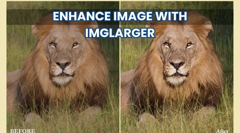 Imglarger