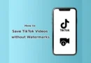 Saving TikTok Videos