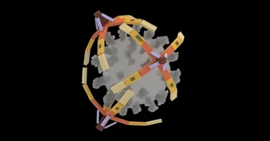 dna nanorobot