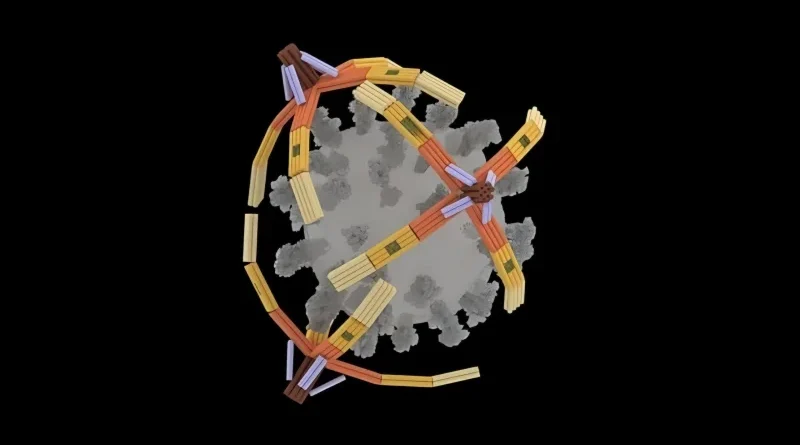 dna nanorobot