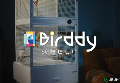 Reli Birddy