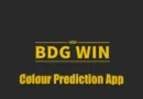 BDG Win Login: A Simple Guide to Access, Play, and Win More