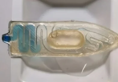 Mini robot dal cibo per pesci: la nuova frontiera della scienza è bio, acquatica e intelligente