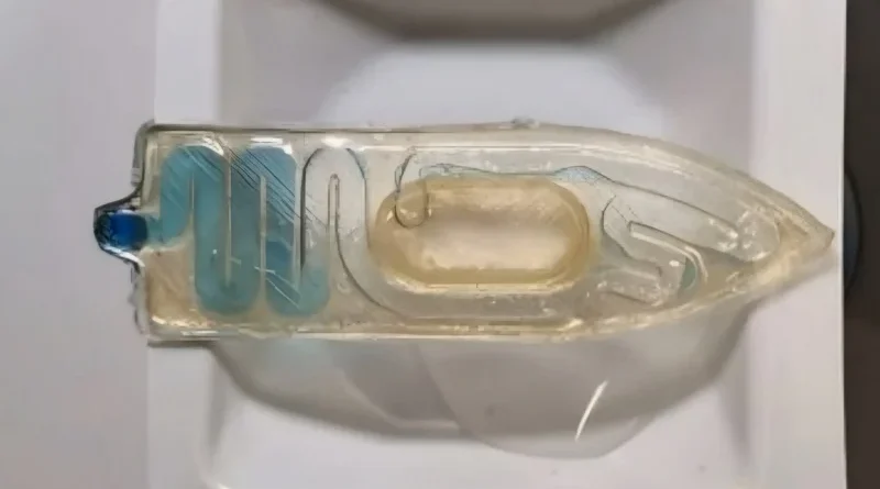 Mini robot dal cibo per pesci: la nuova frontiera della scienza è bio, acquatica e intelligente