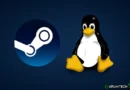 Steam semplifica la vita agli utenti Linux: ora Proton è attivo per tutti i giochi