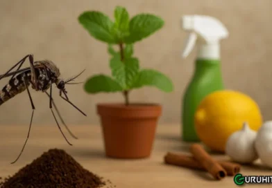 Invasione di insetti in arrivo? Difenditi con la natura (e dimentica i veleni chimici)