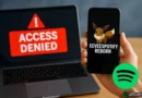 Spotify contro gli hacker del premium: il ritorno di EeveeSpotify