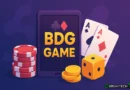 BDG Game: A Complete Guide to This Popular Online Game