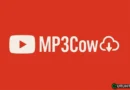 MP3Cow – The Ad-Free YouTube Converter You Didn’t Know You Needed