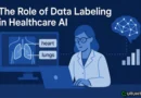 The Role of Data Labeling in Healthcare AI
