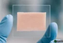 Creata in laboratorio la prima pelle umana completa: vasi sanguigni, pigmento e persino follicoli