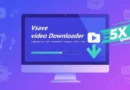 Free All-in-One Downloader for YouTube, Spotify & More