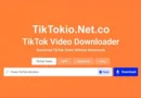TikTokio – The Fastest TikTok MP4 & MP3 Downloader
