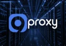 9Proxy: A Close Look into Performance, Features, and Value
