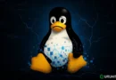 Linux è davvero in crisi? Tutta la verità dietro le voci di “collasso”
