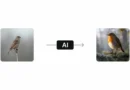 The Future of AI-Powered Creativity: Why Tools Like Getimg.ai Are Gaining Traction