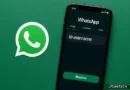 WhatsApp introduce i nomi utente: presto potrai prenotare il tuo @nickname