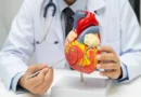 Cardiology and Heart Health Essentials