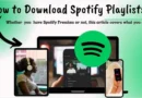 come scaricare playlist da Spotify guida