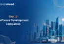 Top 12 Software Development Companies