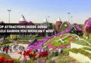Dubai Miracle Garden