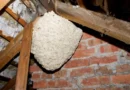 Wasp Nest Removal in Chelmsford: Protecting Homes the Safe Way