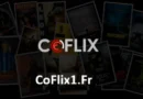 CoFlix APK: Watch HD Movies and TV Shows on Android