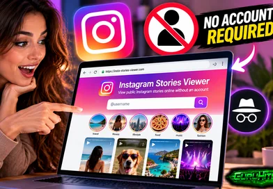 How to View Public Instagram Stories Online Without an Account