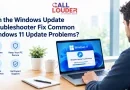 Can the Windows Update Troubleshooter Fix Common Windows 11 Update Problems?